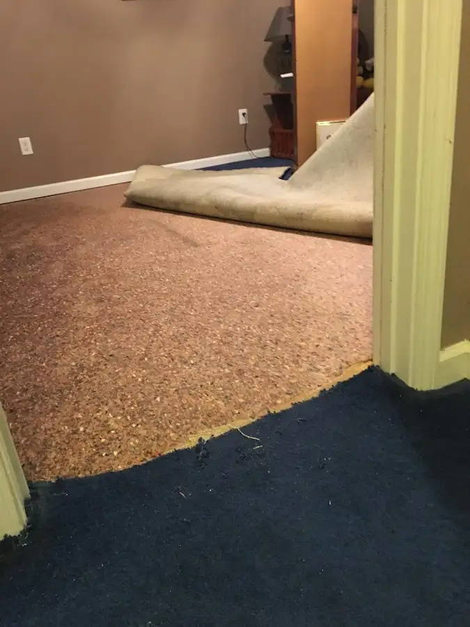 Carpet pad removal revealing water damage during Water Mitigation Services in Rocky Hill